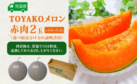 TOYAKOメロン 2玉 計4.8kg～5.4kg 2026年9月下旬～10月中旬お届け 先行予約 北海道産 メロン レッド113 糖度14度以上 赤肉 フルーツ 果物 旬 デザート 国産 贈り物 常
