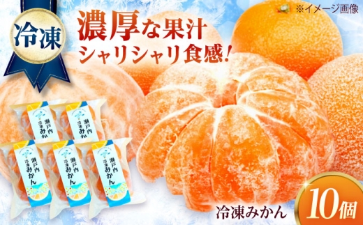 みかん 田尻産 冷凍みかん 10個 みかん 冷凍 温州みかん 柑橘 広島産 完熟 高糖度 スイーツ デザート ヘルシー 広島県福山市/たかはし農園 [BAGS002]
