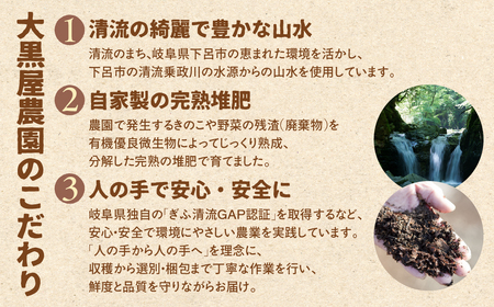  菌床生椎茸  詰め合せセット（4パック＋3袋）7品  計1.3kg 【119-1】