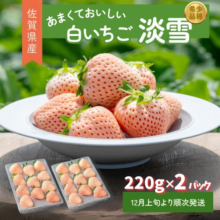 【ふるさと納税】【先行予約】希少価値 佐賀県産 いちご 淡雪 220g×2パック フルーツ 旬 果物 イチゴ 苺 ピンク苺 白いちご 九州 佐賀県 佐賀市 清瀬農園 朝詰み：B140-009