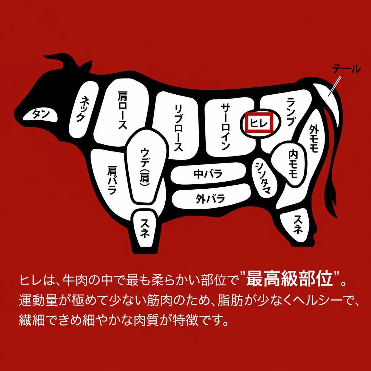 国産 黒毛和牛 ヒレブロック 500g A5 ヒレブロック