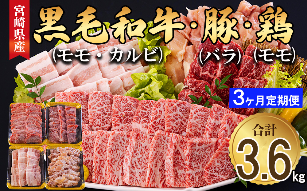 牛肉 3回 定期便 宮崎県産 焼肉 セット 黒毛和牛カルビ 豚バラ 若鶏モモ 各 300g 計 1.2kg ×3回 [サンアグリフーズ 宮崎県 美郷町 31ba0036] 小分け 冷凍 BBQ 詰め合わせ 経産牛 もも肉 モモ 牛 豚 鶏 カルビ バラ肉