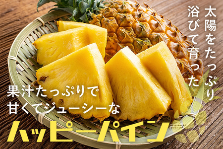 【2026年発送】ハッピーパイン1玉 沖縄県の南部では育たないと言われた幻のパイナップル パイナップル パイン フルーツ 果物 甘い 沖縄