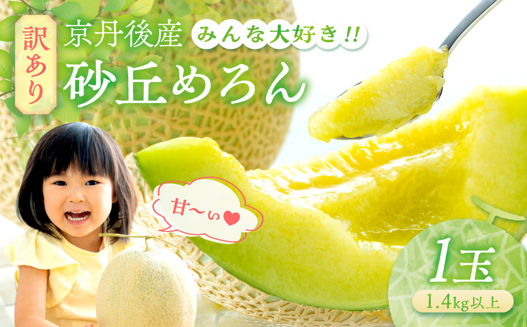 【先行予約】メロン産地から直送！濃厚な甘み／みんな大好き甘～ぃ！京丹後砂丘めろん！ 1玉（2026年7月下旬～発送）メロン1玉　YK00529