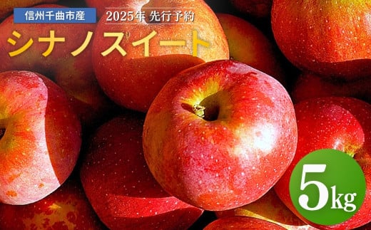 【2025年先行予約】りんご シナノスイート 12～20玉 約5kg｜ リンゴ 林檎 フルーツ 果物 信州りんご 長野県産 千曲市 信州