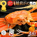 【ふるさと納税】【訳あり】≪浜茹で≫指折れ 越前がに（大） × 1杯 食べ方しおり かにスプーン付き【雄 ズワイガニ ずわいがに 越前ガニ 姿 ボイル 冷蔵 福井県】【3月発送分】希望日指定可 備考欄に希望日をご記入ください