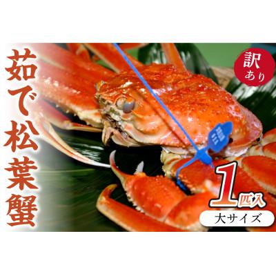 ふるさと納税 京丹後市 日本海産　ブランド蟹　茹で松葉蟹【訳あり】大サイズmatubakani900
