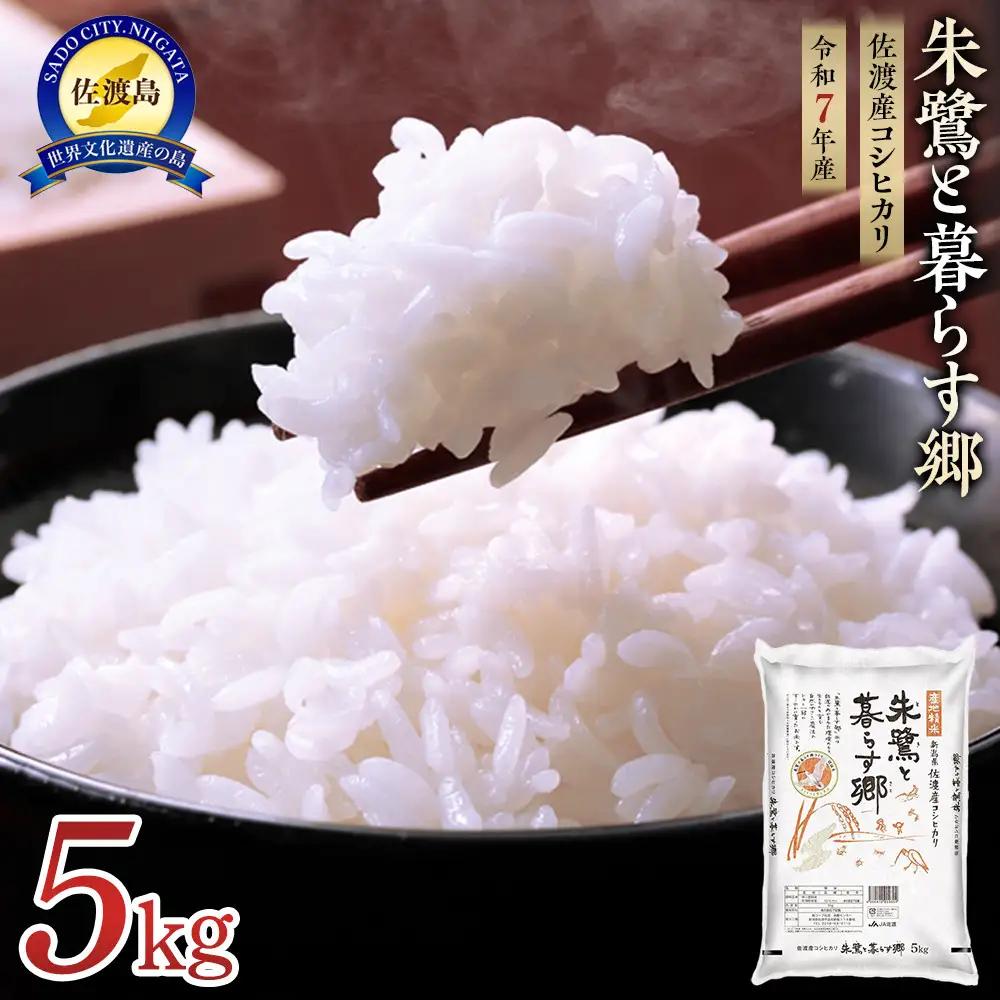 米 朱鷺と暮らす郷 佐渡産コシヒカリ 5kg 令和7年 コシヒカリ