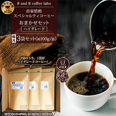 ふるさと納税 諫早市 【毎月定期便】自家焙煎スペシャルティコーヒーおまかせセット ハイグレード(豆のまま)全12回