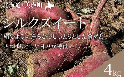 【令和8年産】さつまいも シルクスイート 4kg 北海道 黒木農場 |  さつまいも シルクスイート サツマイモ いも イモ 芋 スイーツ スイートポテト 北海道 国産 ポテト [013-14]
