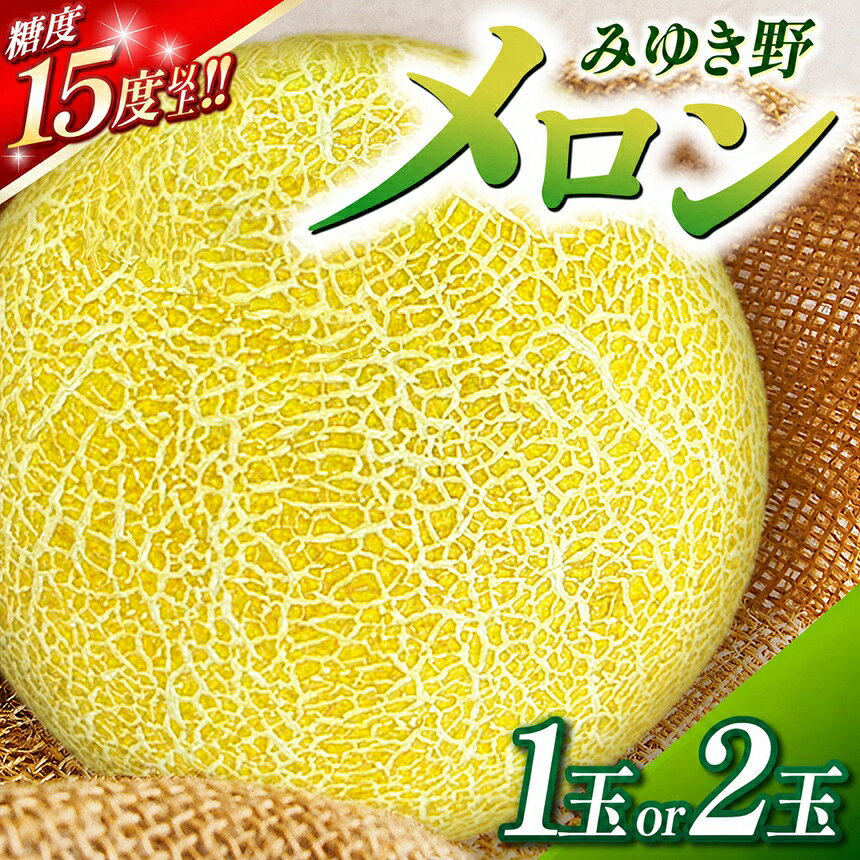 【ふるさと納税】木島平産 みゆき野メロン1玉 or 2玉 | メロン みゆき野メロン 果物 フルーツ fruits メロン めろん 木島平村 長野県 信州 北信州