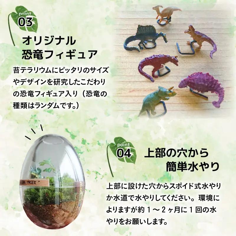 ジュラリウム 手作りキット 恐竜 苔 天然石 [B-070001]