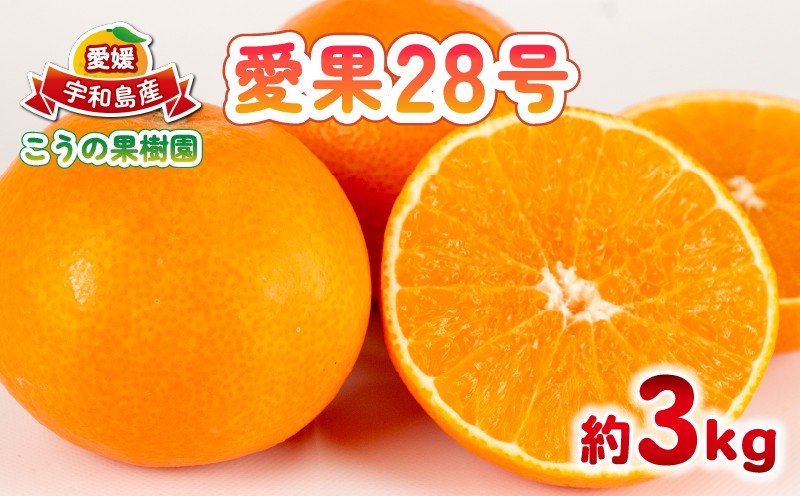 
                  愛果28号 約3kg こうの果樹園 【先行予約】 愛果 あいか みかん 柑橘 みかん 果物 おすすめ 高級 人気 お取り寄せ グルメ ギフト 期間 ご当地 愛媛県 宇和島 B010-182004
                