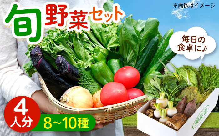 愛菜連のおまかせ野菜パック（４人用）野菜詰合せ 旬 旬の野菜 野菜セット 産地直送 ミネラル ビタミン 豊富　広島県福山市/マルフク株式会社 [BAFW001]