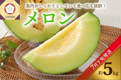 【2025年7月下旬発送】メロン5kg程度(緑肉4～6玉)津軽産