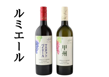 ルミエール　リーシェ甲州・リーシェマスカットベイリーＡ　2本セット 167-190
