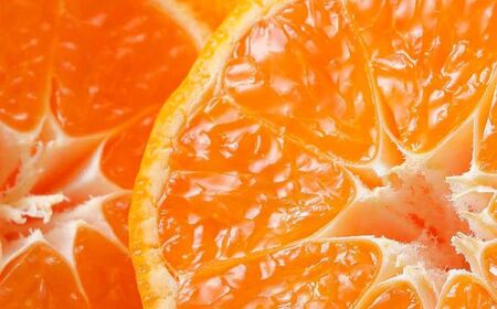 JAにしうわ みつる共選 「蜜る」4kg（2S～2L）※離島への配送不可（2025年11月中旬より順次発送予定）【 柑橘 ミカン みかん 蜜る 生果 】 IKTBC004