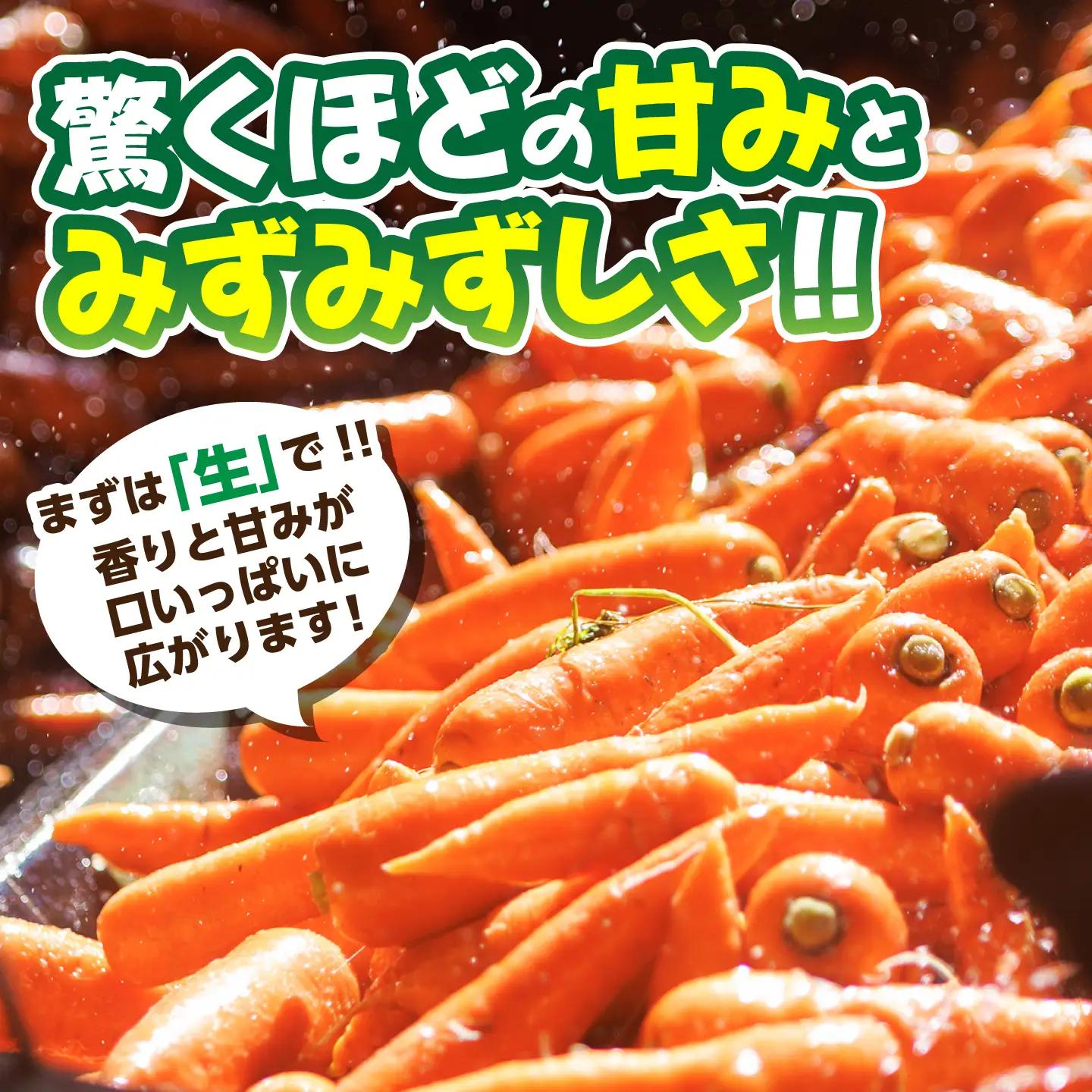 訳あり菊陽春にんじん 3kg にんじん BHDH004