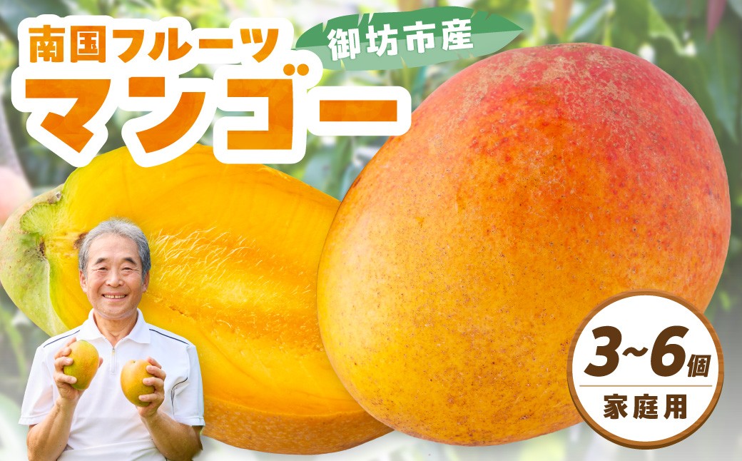 
                  南国フルーツマンゴー 3～6玉 （1.5kg程度）家庭用≪先行予約≫2026年8月中旬頃より順次発送分
                