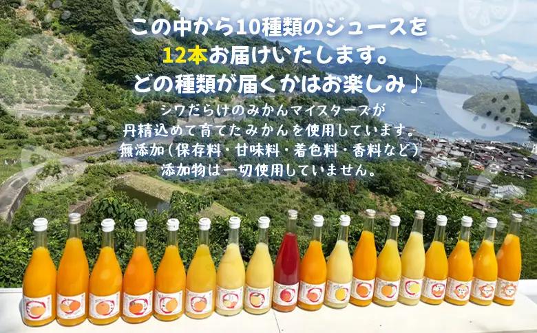 ＜一歩会 ジュエリーボックス ジュース飲み比べセット 720ml×12本入り パウチゼリー付＞『1か月以内に順次出荷予定』果汁100%ストレートジュース 愛媛 みかん ミカン 柑橘 果物 フルーツ 特
