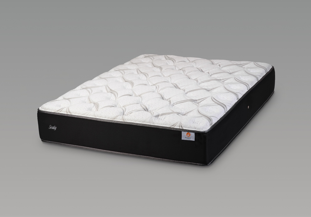 
                  【 Sealy 】 マスターピース TT マットレス （ シングル ） 寝具 睡眠 快眠 寝心地 睡眠環境 布団 ふとん 不眠 まっとれす チタン 姿勢
                