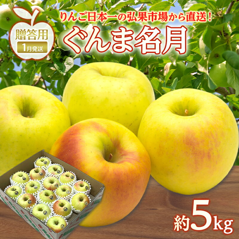 【ふるさと納税】りんご 【 1月発送 】 贈答用 ぐんま名月 約 5kg　リンゴ 林檎 青森りんご 糖度 13度 甘い 酸味 デザート フルーツ 果物 お取り寄せ 産地直送 旬 季節限定 弘果物流 青森県 西目屋村 西目屋村産　お届け：2027年1月中