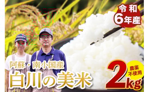 令和６年産 白川の美米 ２kg 令和6年産 南小国産 玄米 白米 3分づき 5分づき 7分づき 森のくまさん 精米 米 お米 ご飯 ごはん 無農薬 農薬不使用 自然栽培 産地直送 熊本 南小国 送料無料