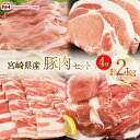 【ふるさと納税】レビューキャンペーン 宮崎県産豚肉4種セット 2kg 小分け とんかつ しゃぶしゃぶ 焼肉 小間切れ[日本ハムマーケティング 宮崎県 日向市 452060687] 肉 豚肉 冷凍 個包装 セット