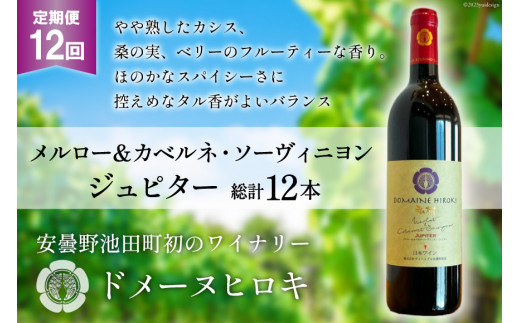 
12回 定期便 ワイン メルロー＆カベルネ・ソーヴィニョン ジュピター 750ml×1本 計12本 [ヴィニョブル安曇野(ドメーヌ・ヒロキ) 長野県 池田町 48110604] 赤ワイン 赤 酒 お酒 果実酒 フルーティ
