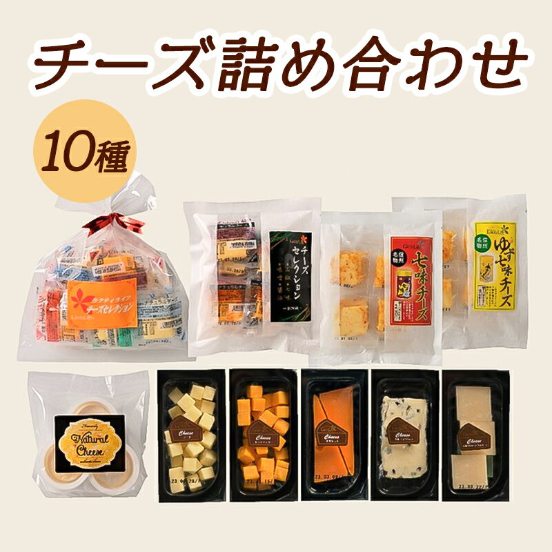 【ふるさと納税】10種のチーズの詰め合わせおつまみ 詰め合わせ セット 長野 信州 小諸 乳製品 加工食品 盛り合わせ