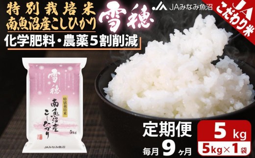 【JAみなみ魚沼定期便】特別栽培米南魚沼産こしひかり「雪穂」（5kg×全9回） ≪精米 農薬5割削減 精米HACCP認定工場 特A獲得日本一産地 高品質精米 もっちり甘い 南魚沼産コシヒカリ 定期便 コシヒカリ こしひかり 精米 銘柄米≫