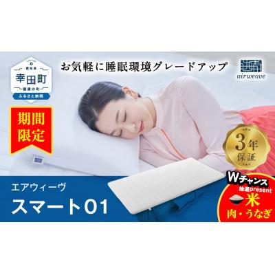 ふるさと納税 幸田町 エアウィーヴ スマート01 ( ダブル サイズ )