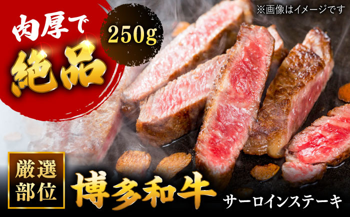 
            博多和牛 サーロイン ステーキ 250g[250g×1枚]  ▼ 国産牛 黒毛和牛 サーロイン ステーキ  肉  牛ステーキ 赤身 桂川町/株式会社 MEAT PLUS[ADAQ004]
          
