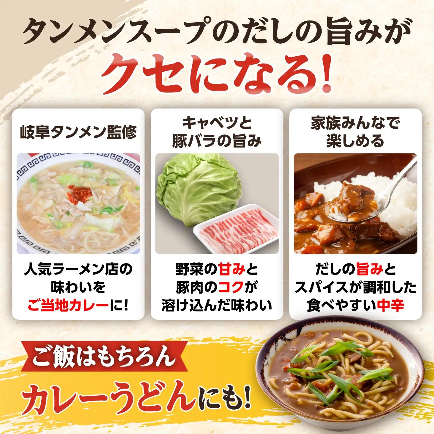 【岐阜タンメン監修】 岐阜タンカレー 180g×2食 セット / レトルトカレー カレー curry 保存食 防災食 恵那市 / テンポイント[AUEU039]