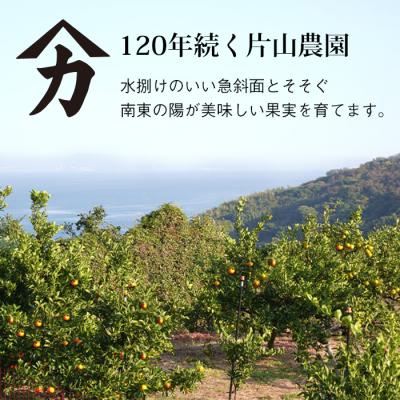 ふるさと納税 淡路市 片山農園の温州みかん3.0kgとキウイ2.0kg【サイズ色々S〜2Lサイズ】　ak03801 |  | 01