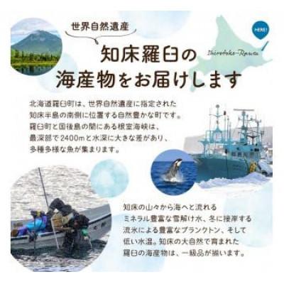 ふるさと納税 羅臼町 【毎月定期便】羅臼の魚おすすめセット(1)全4回 |  | 02