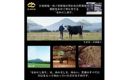 牛肉 宮崎県西ノ原牧場・なかにし和牛訳あり不揃い切り落とし焼肉 400g 牛肉