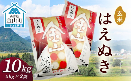 
令和6年産 金山産米 はえぬき【玄米】（5kg×2袋） 計10kg 米 お米 ご飯 玄米 ブランド米 送料無料 東北 山形 金山町 F4B-0522
