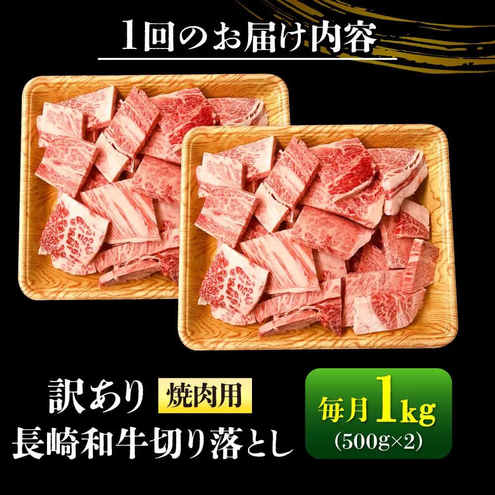 【3回定期便】【訳あり】 A4-A5 長崎和牛 焼肉切り落とし 500g×2 (肩ロース/バラ)  [DBS046] 訳アリ 牛肉