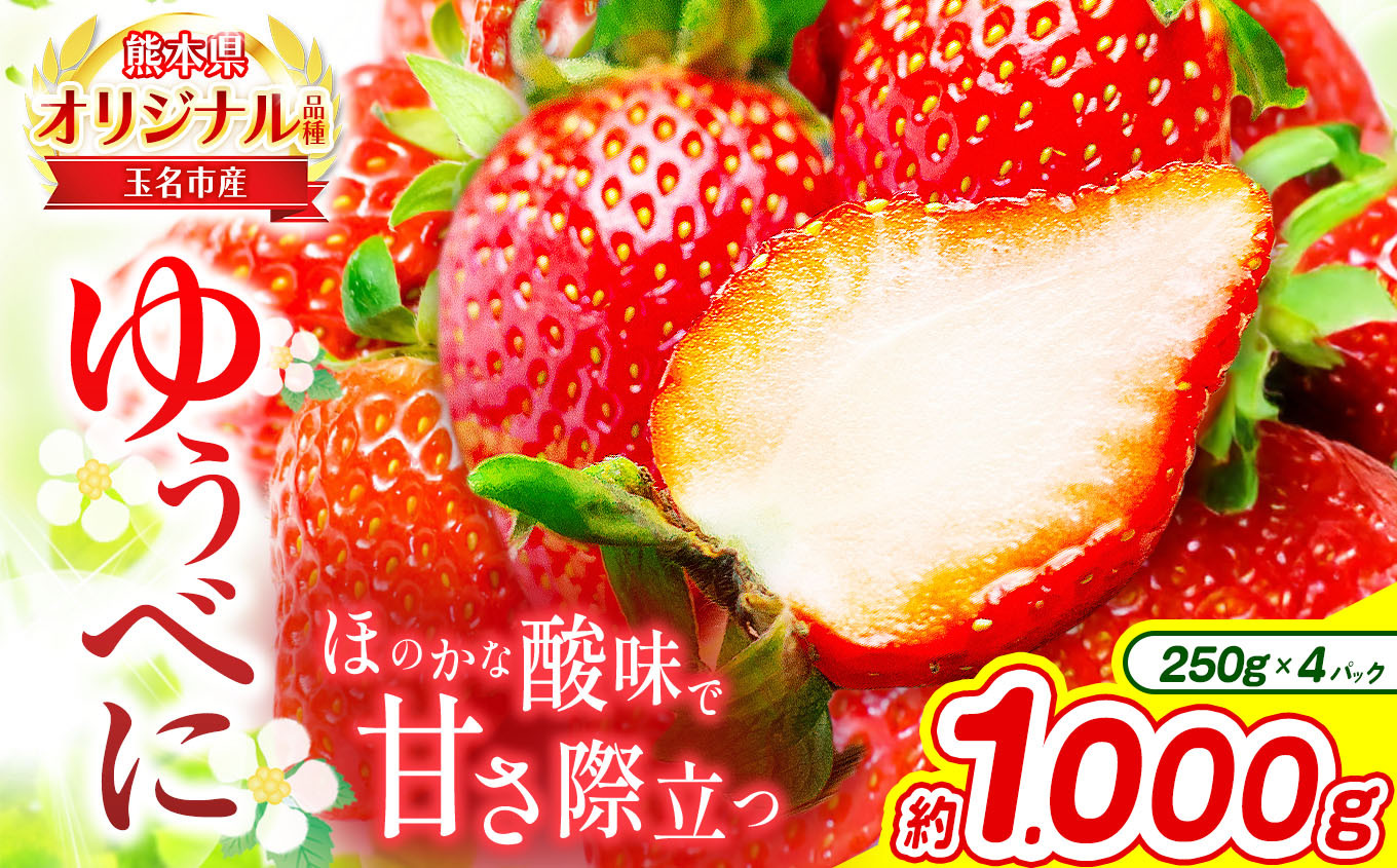 
                  熊本 玉名産 いちご ゆうべに 約1000g （ 250g×4パック ） ｜ 果物 くだもの フルーツ イチゴ 苺 熊本県 玉名市
                