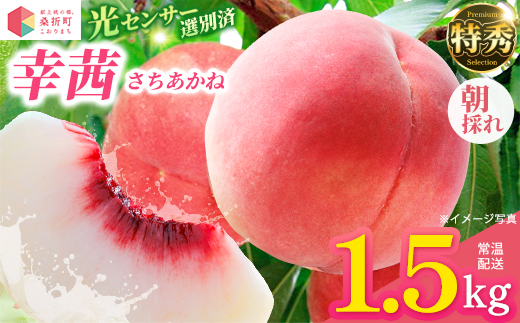 もも【幸茜・2027年産先行予約】特秀1.5kg　桑折町産　JAふくしま未来　桃 ／ もも モモ 果物 フルーツ 旬 甘い 甘み ジューシー 果肉 果汁 新鮮 フレッシュ デザート おいしい 産地直送