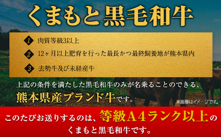 くまもと黒毛和牛 サーロイン リブロース ローススライス 600g 黒毛和牛 《7-14日以内に出荷予定(土日祝除く)》