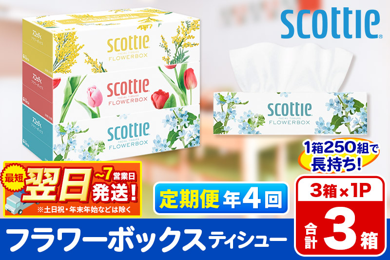 
            《3ヶ月ごとに4回お届け》定期便  ティッシュペーパー スコッティ ティシュー フラワーボックス 250組 3箱パック×1パック【レビューキャンペーン中】 秋田市オリジナル
          