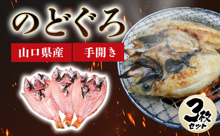 山口県産 手開き のどぐろ 3枚セット