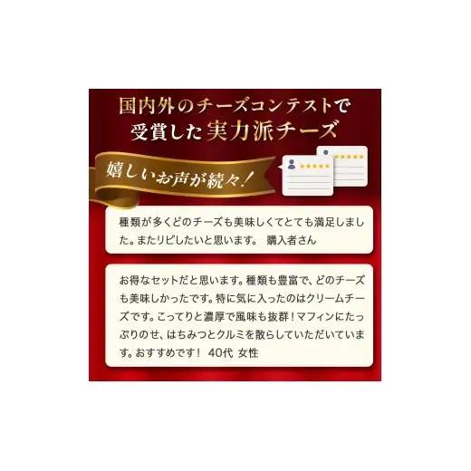 はやきたチーズ色々詰合せセット＜ナチュラルチーズコンテスト受賞! 夢民舎ブランド ＞（カマンベール・クリーム・モッツァレラ・カチョカバロ・さける）【1001151】