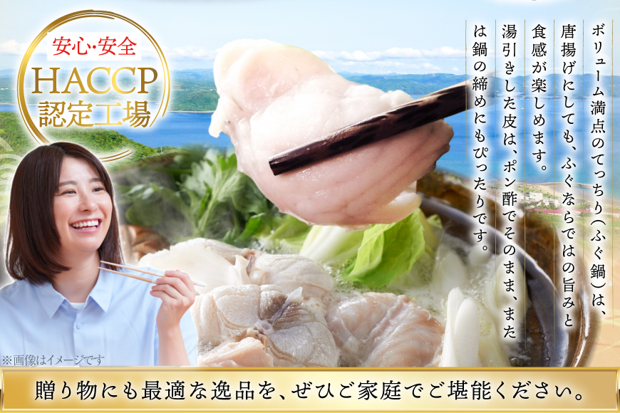 ふぐ 鍋 セット 活〆 おうごんとらふぐ 満腹 鍋セット 約800g [松永水産 長崎県 平戸市 hr42bgy400186] とらふぐ フグ 河豚 てっちり ふぐちり ふぐ料理 魚介 さかな 切り身