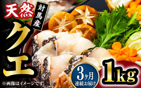 【全3回定期便】【 対馬産 】 天然 クエ 1kg（500g×2）（切り身） 鍋 水炊き 海鮮 クエ 天然クエ [WAB024]