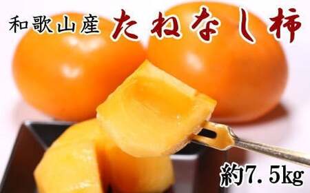 【秋の味覚】和歌山産たねなし柿（L～4Lサイズおまかせ）約7.5kg・秀品〇