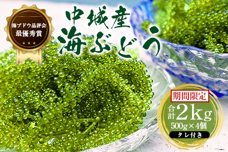 【沖縄から産地直送】県産海ぶどう品評会最優秀賞受賞!ちゅら海ぶどう2kg(500g×4箱)【1674924】