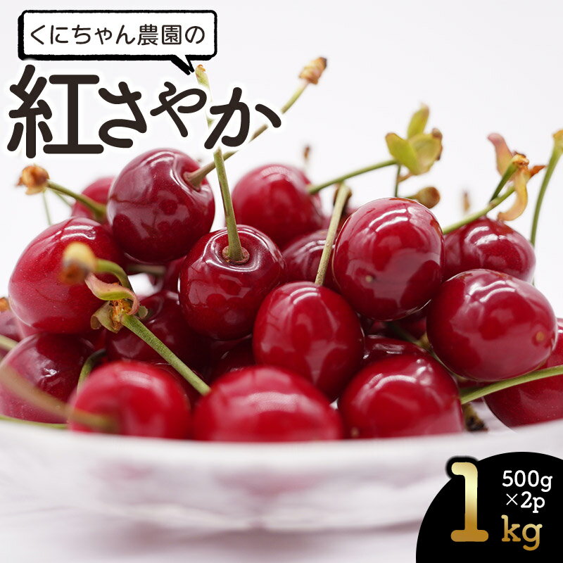 【ふるさと納税】令和7年産 さくらんぼ 紅さやか 1kg（500g×2パック）